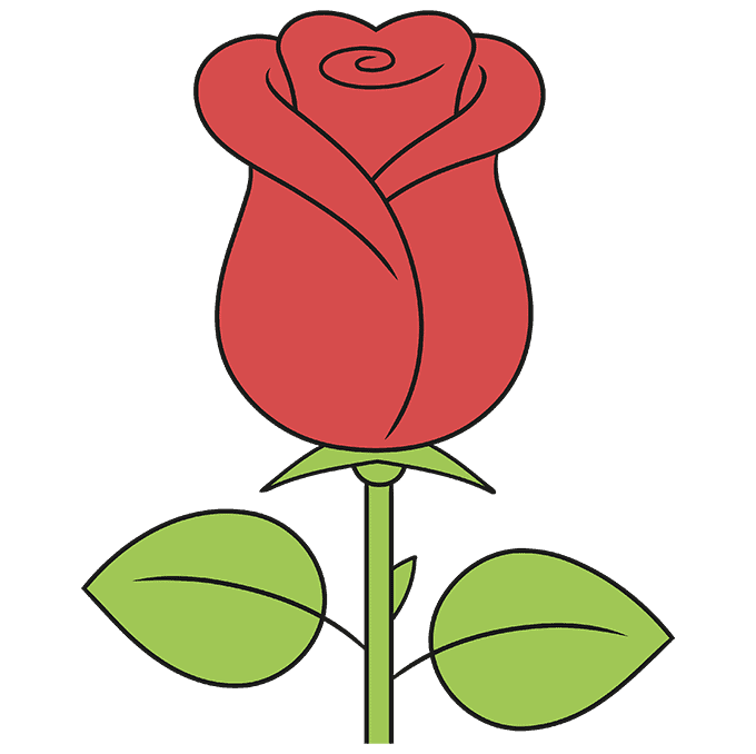 Simple, Quick Rose step-by-step drawing tutorial: step 10