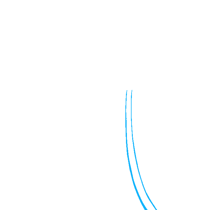 How to Draw a Tulip Step 01